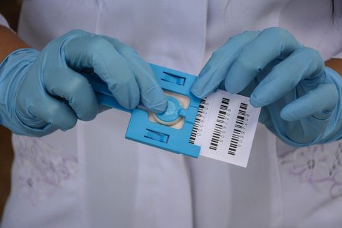 Imagem: Coleta de DNA para encontrar pessoas desaparecidas