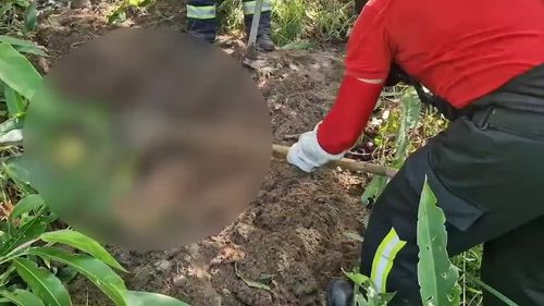Imagem: Facções podem estar ligadas a desaparecimentos no Litoral Norte