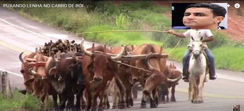 Imagem: A sobrevivência de Arthur Lira pós decisão de JHC