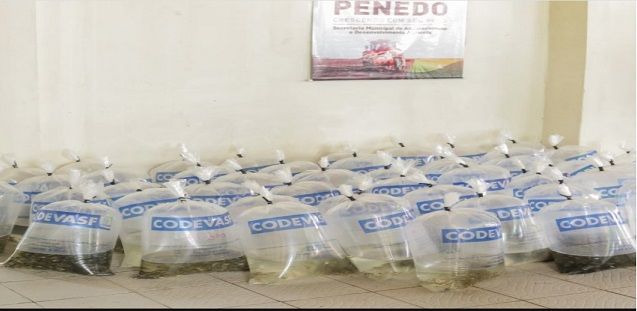 Valdinho Peixamento1.jpg