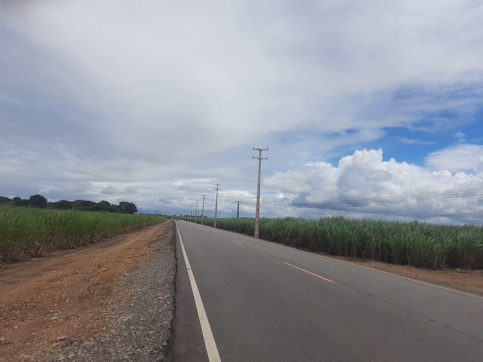 postes na AL 105---.jfif