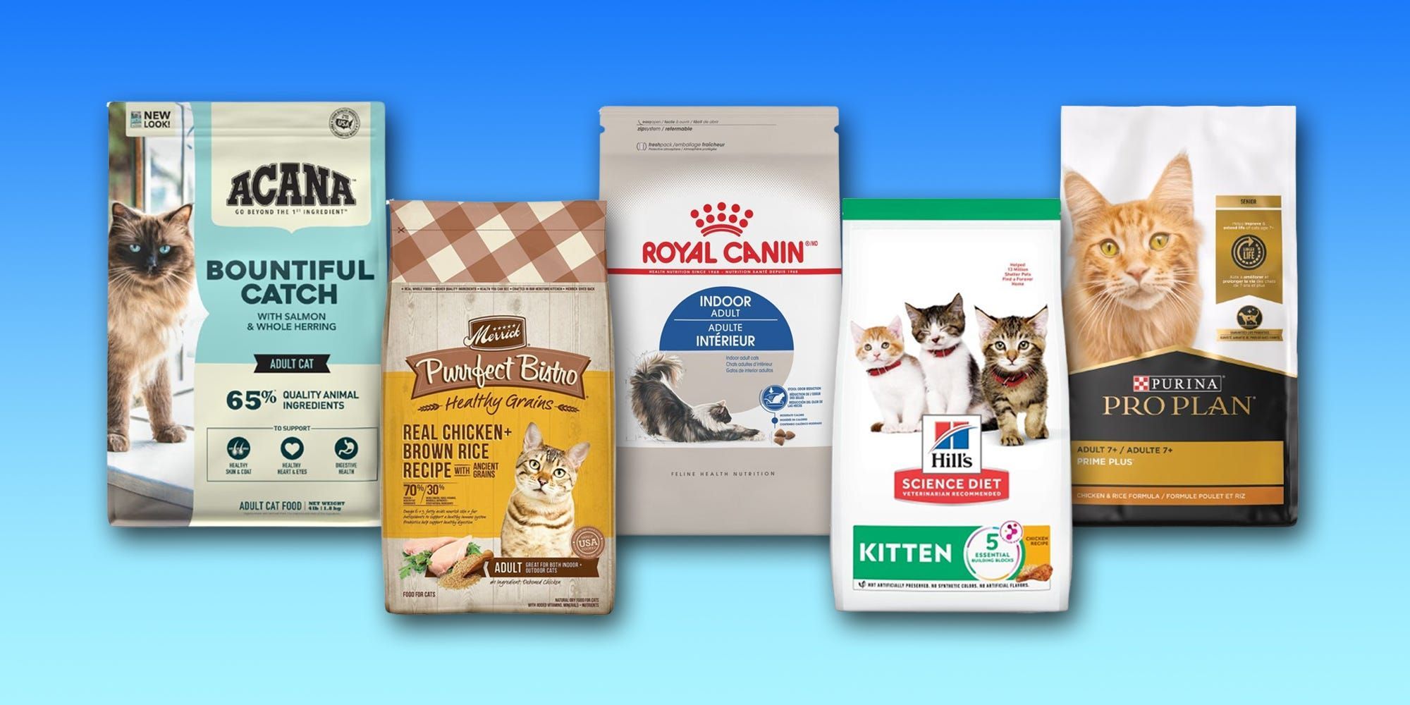 Alimentos secos saudáveis para gatos em 2025